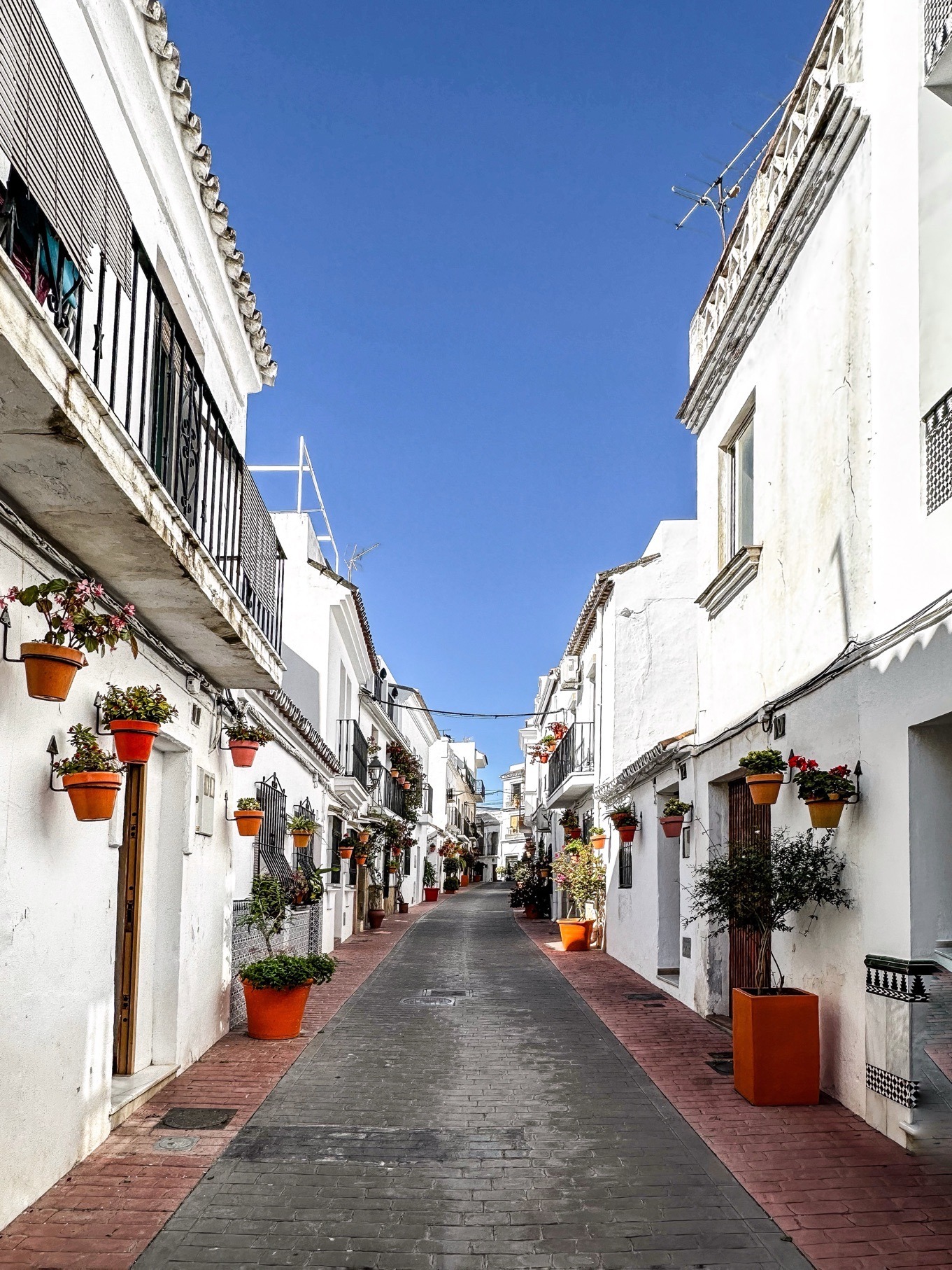 Weiß getünchte Altstadtgasse in Estepona mit Blumenschmuck an der Costa del Sol